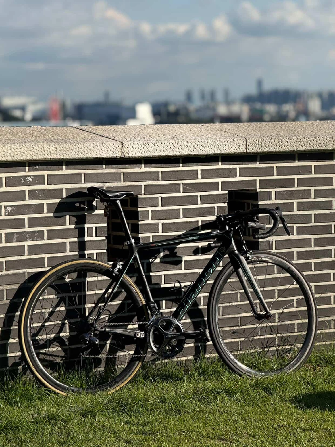 비앙키 스페셜리시마 cv 53사이즈 | 스포츠/레저 | 당근 중고거래