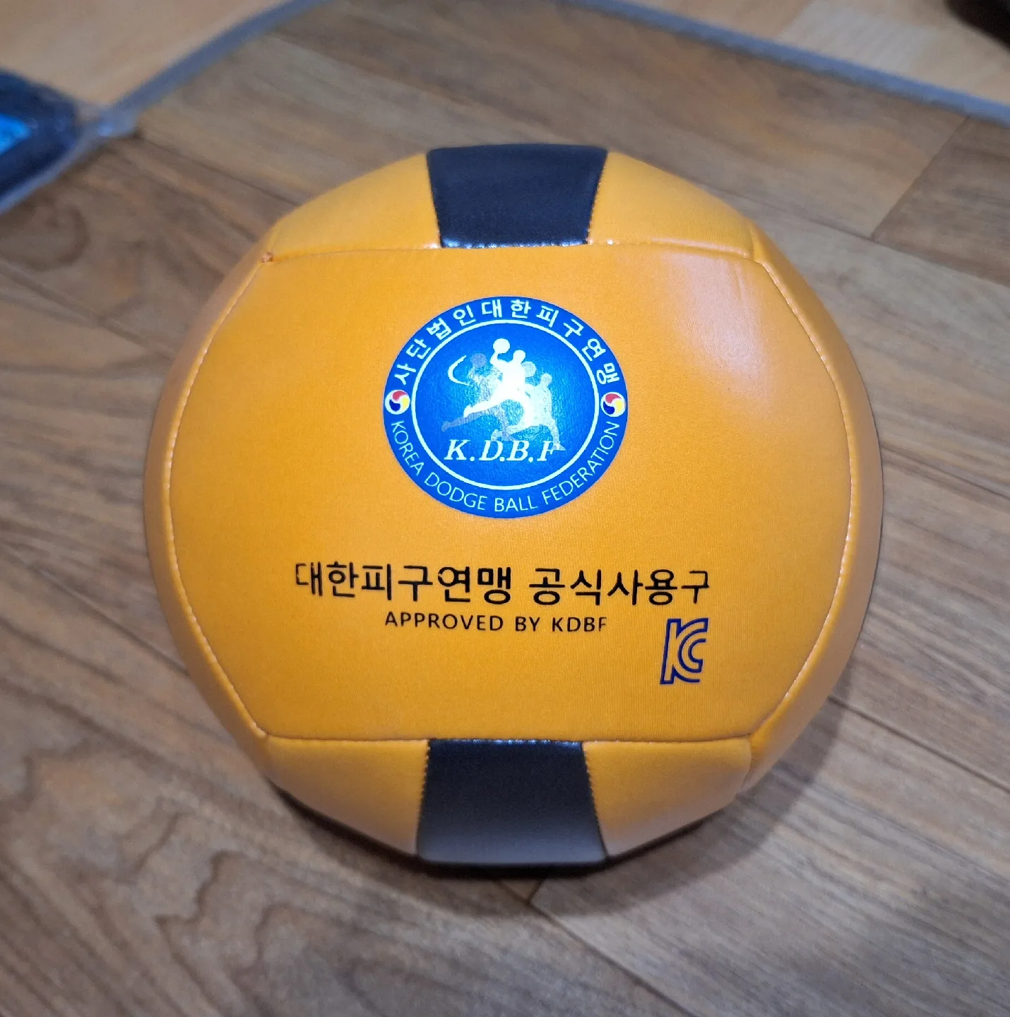 대한피구연맹 공식 피구공 애들좋아요