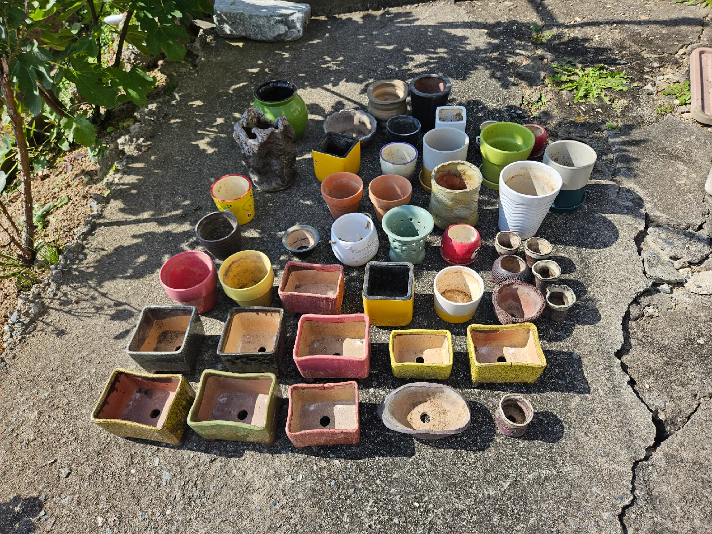 화분 모음 (다육이 화분 포함)