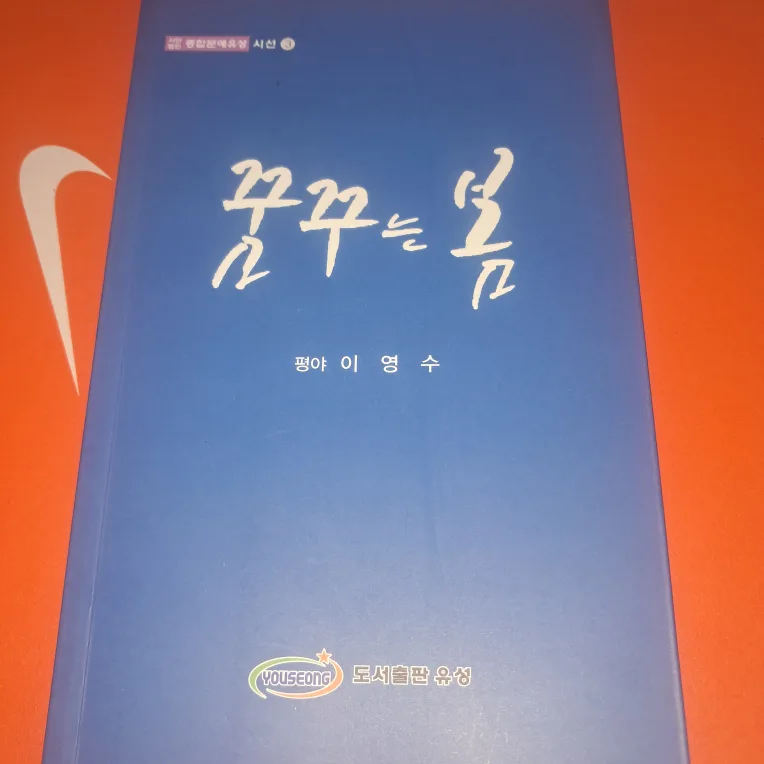 꿈꾸는 봄 - 이영수 시집 (중고)