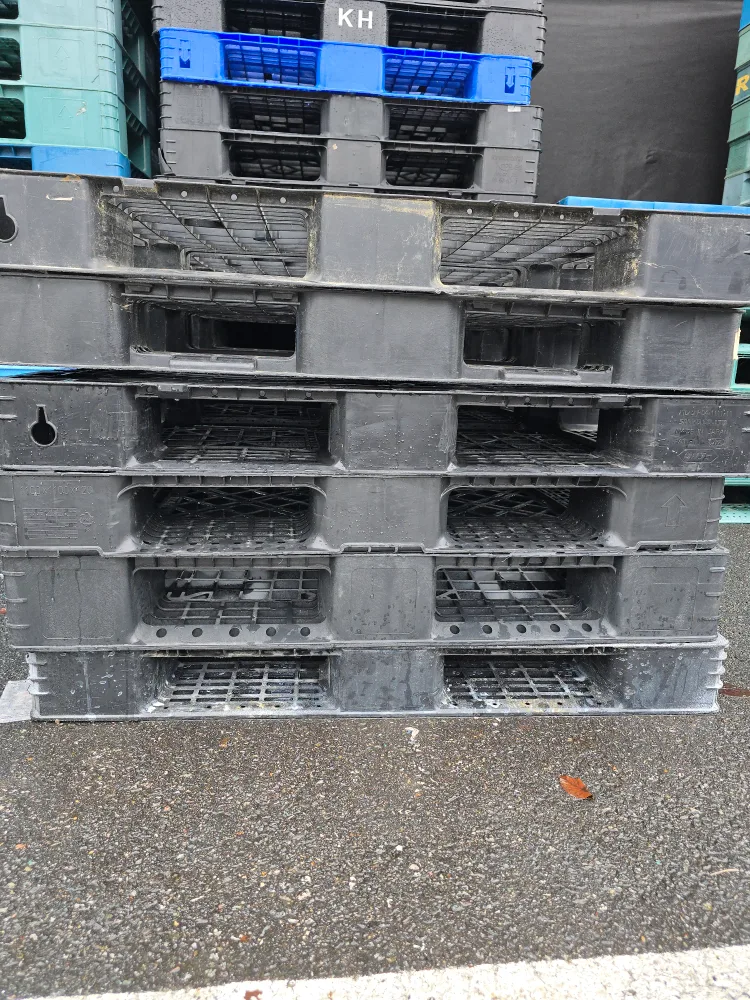 중고 파렛트 판매합니다