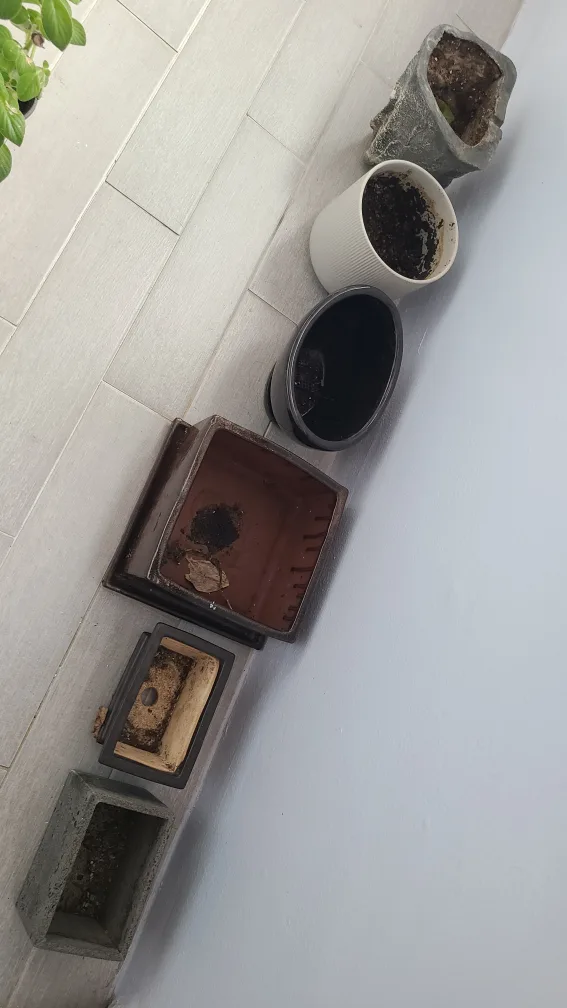 다양한 중고 화분 6개 일괄