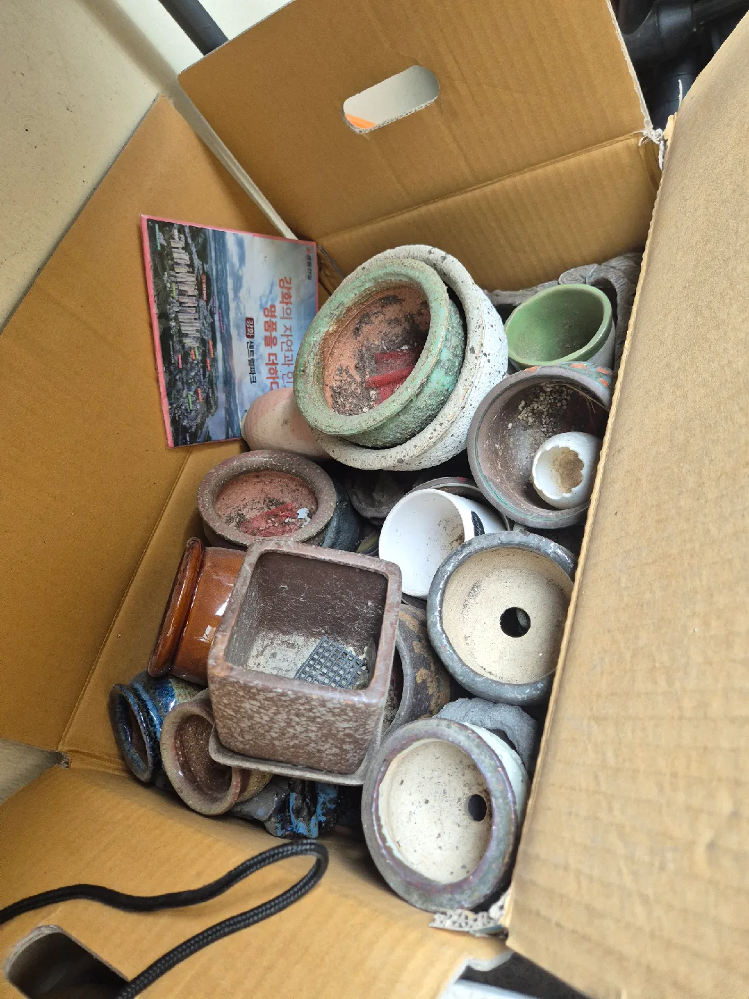 다양한 중고 화분 모음