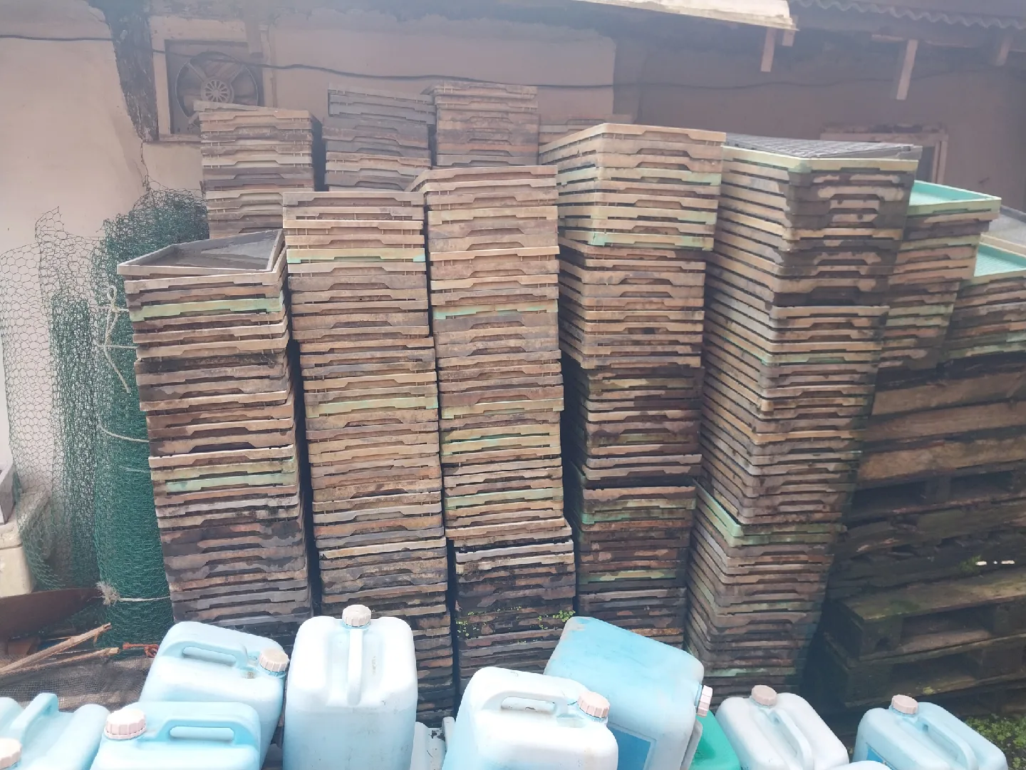 중고 모판 다량 판매