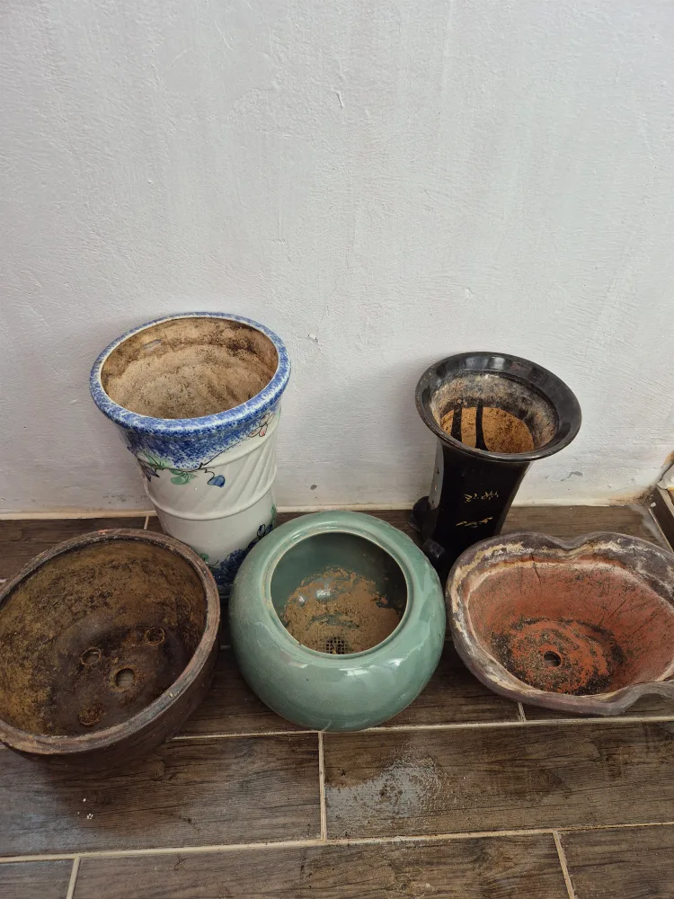 중고 화분 모음