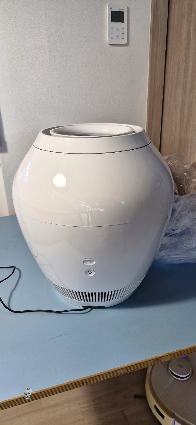 발뮤다 가습기 ERN-1100SD 화이트 자연기화식 가습기