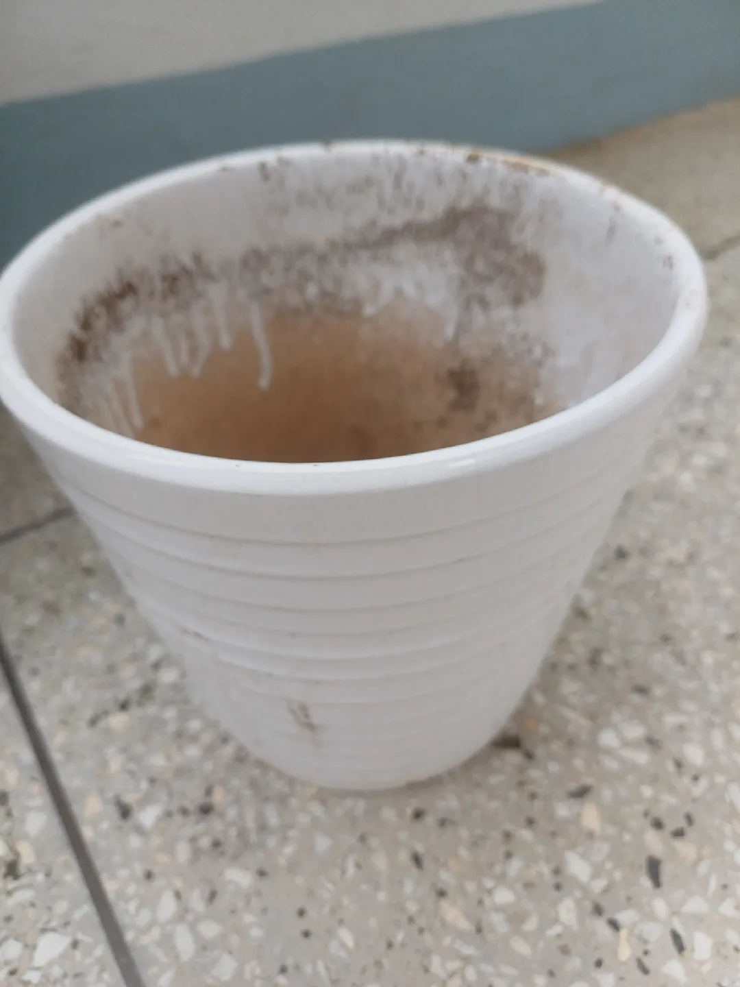 다양한 디자인 중고 화분 4개