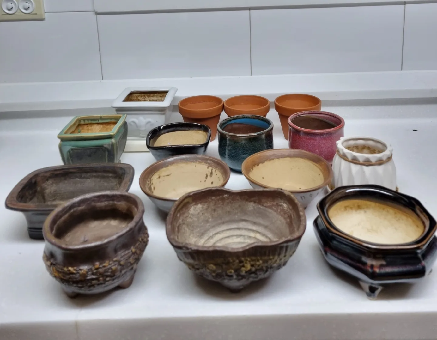 중고 다육이 화분 모음