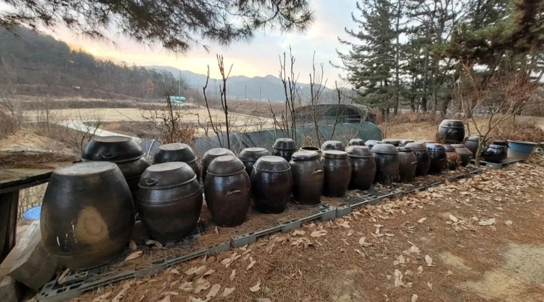 장 담기 좋은 중고 항아리