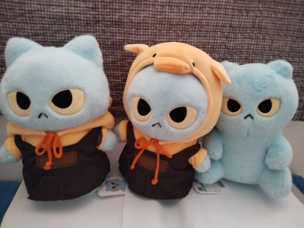 고양이 인형 세트