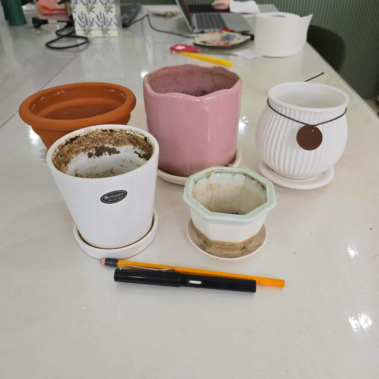 다양한 종류의 중고 화분 모음