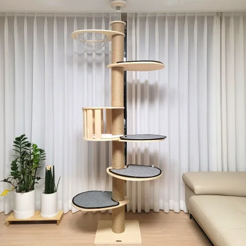 원목 캣타워 6단 5개월 중고