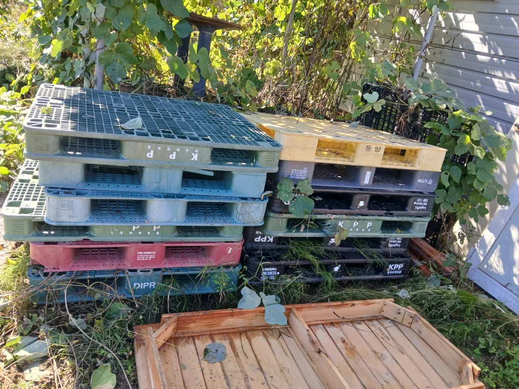 중고  플라스틱 파레트