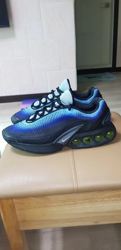 나이키 에어맥스 DN (250)