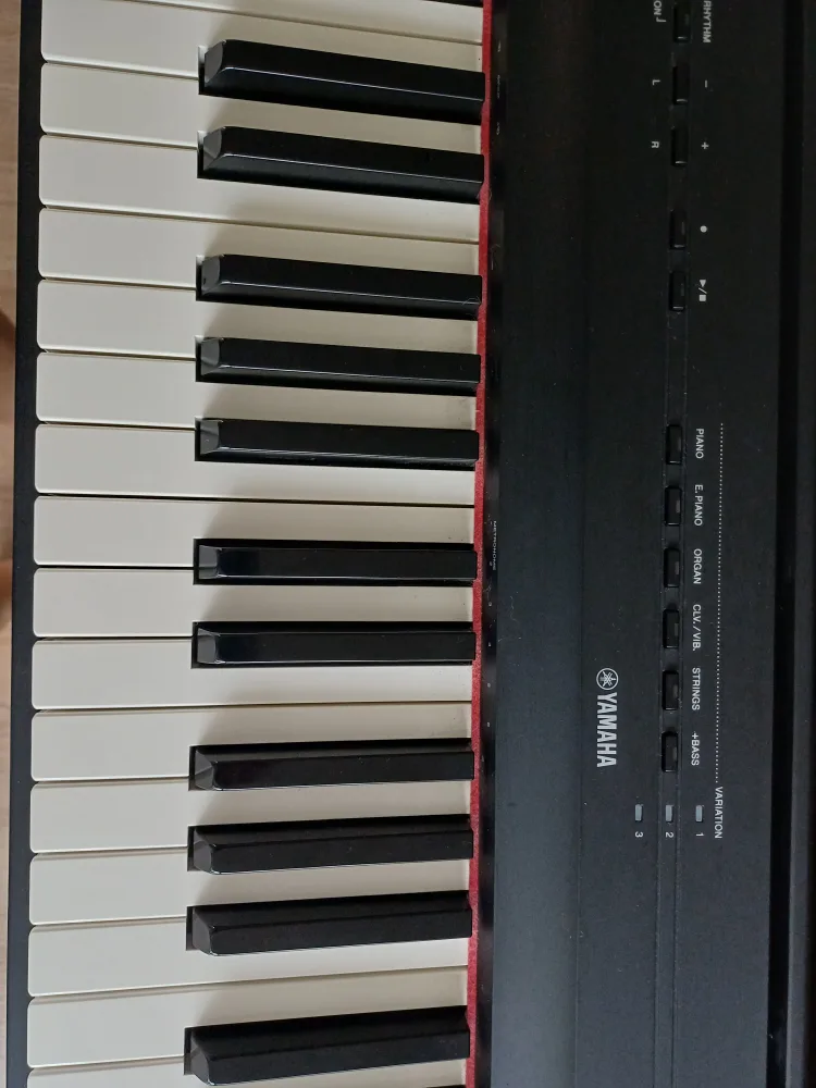 야마하 디지털 피아노 중고