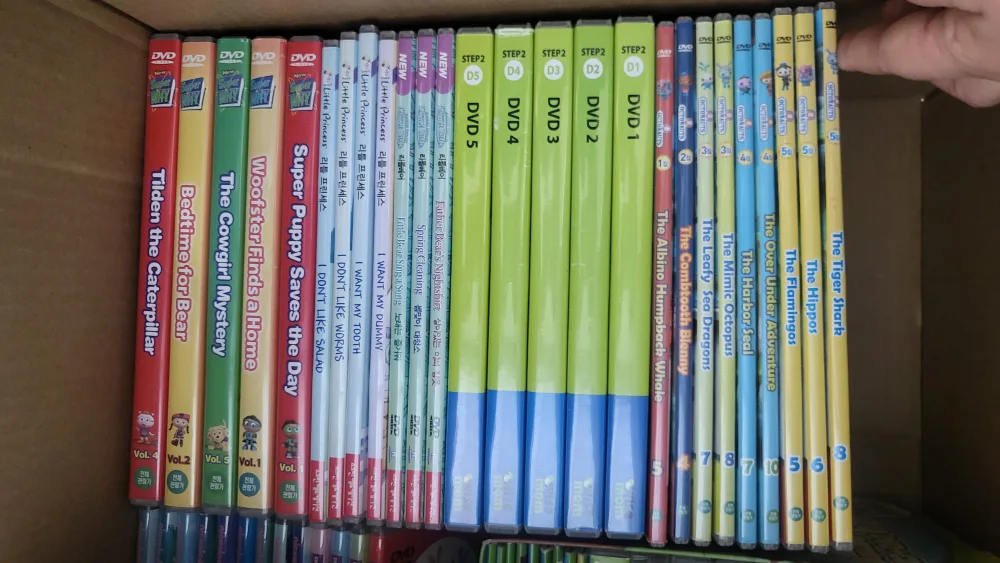 어린이 영어 dvd