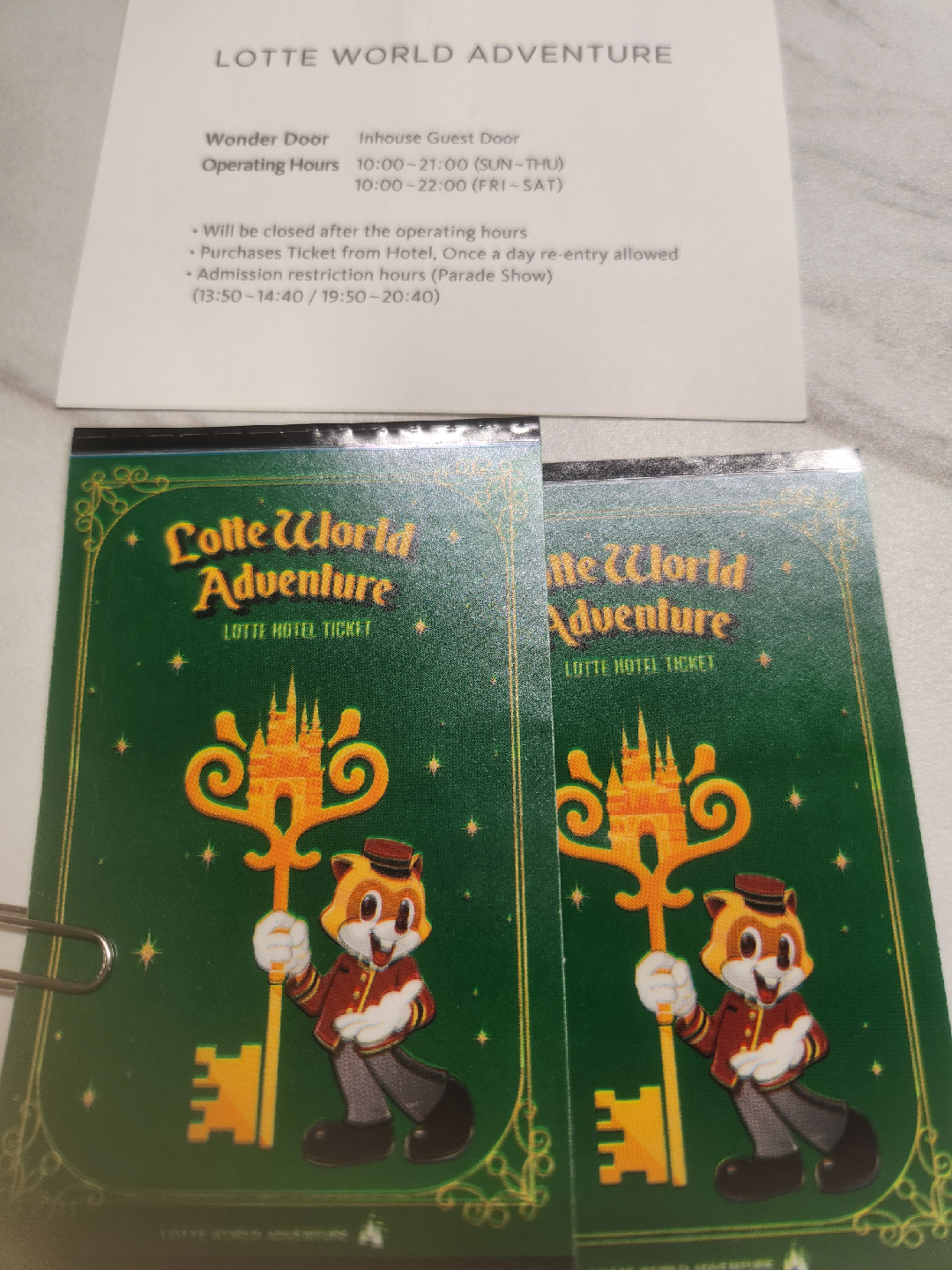 롯데월드 어드벤처 자유이용권 2매일괄