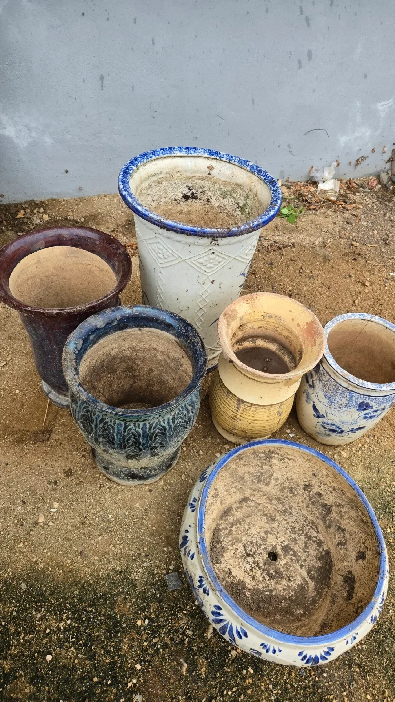 다양한 디자인 중고 화분 6개