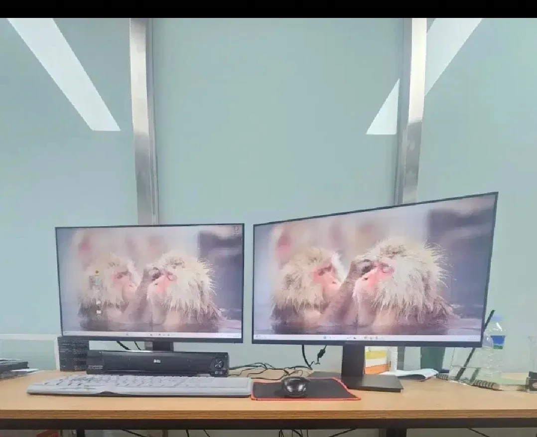 24인치 무결점 극미중고