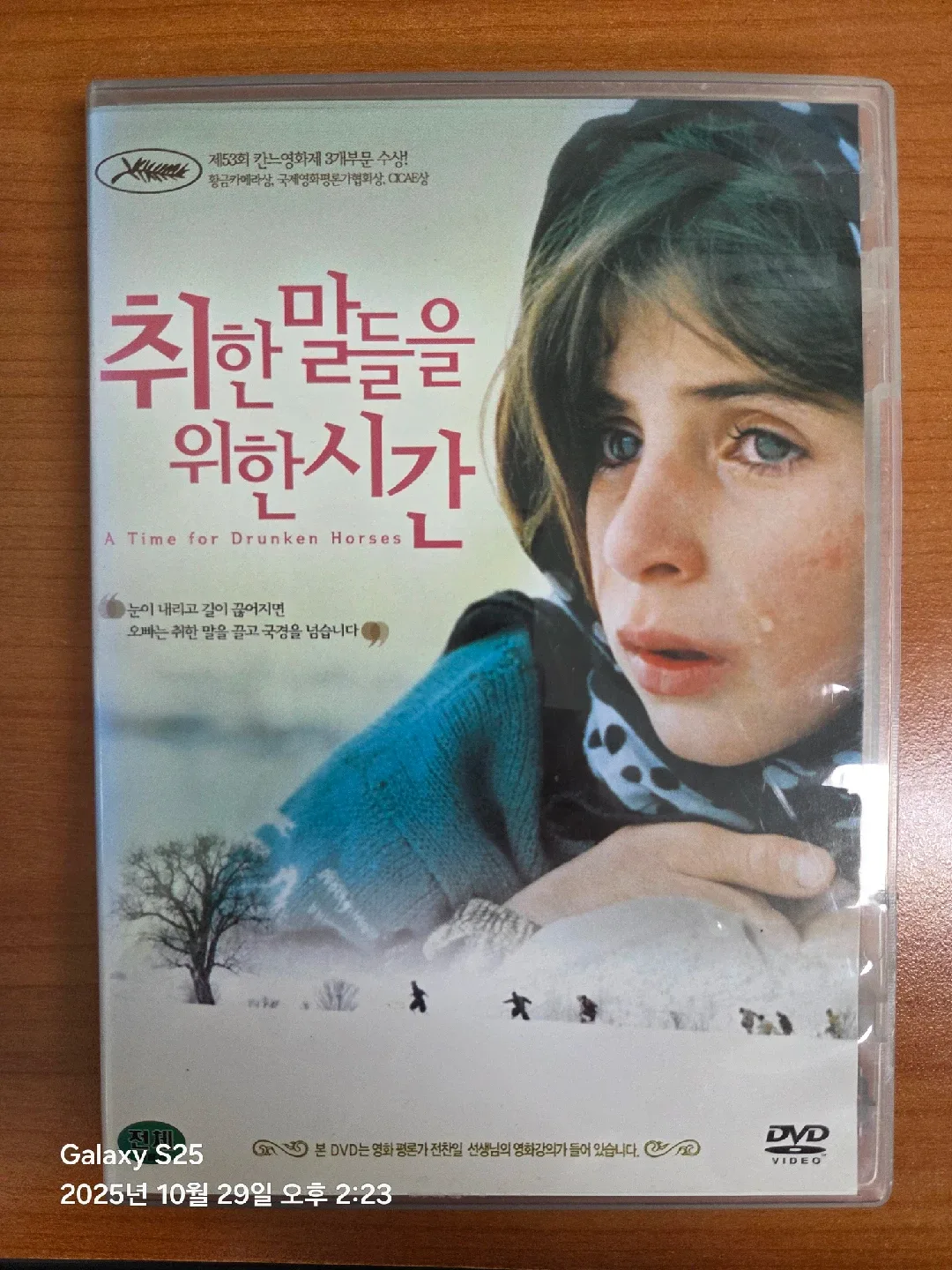 영화 취한 말들을 위한 시간 DVD