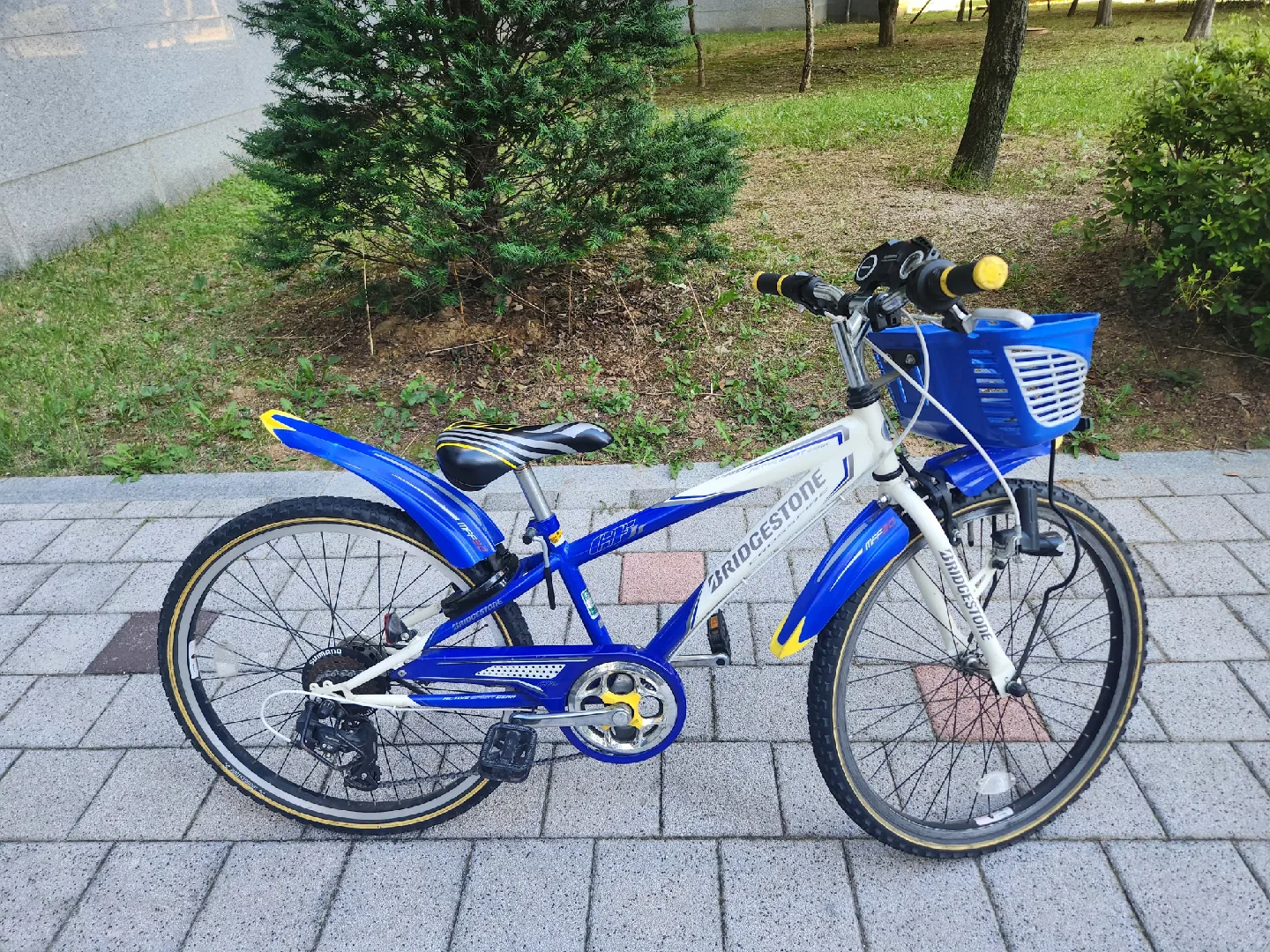 브리지스톤 자전거