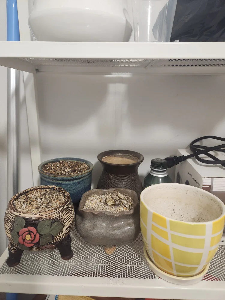 중고 다육이 화분5개