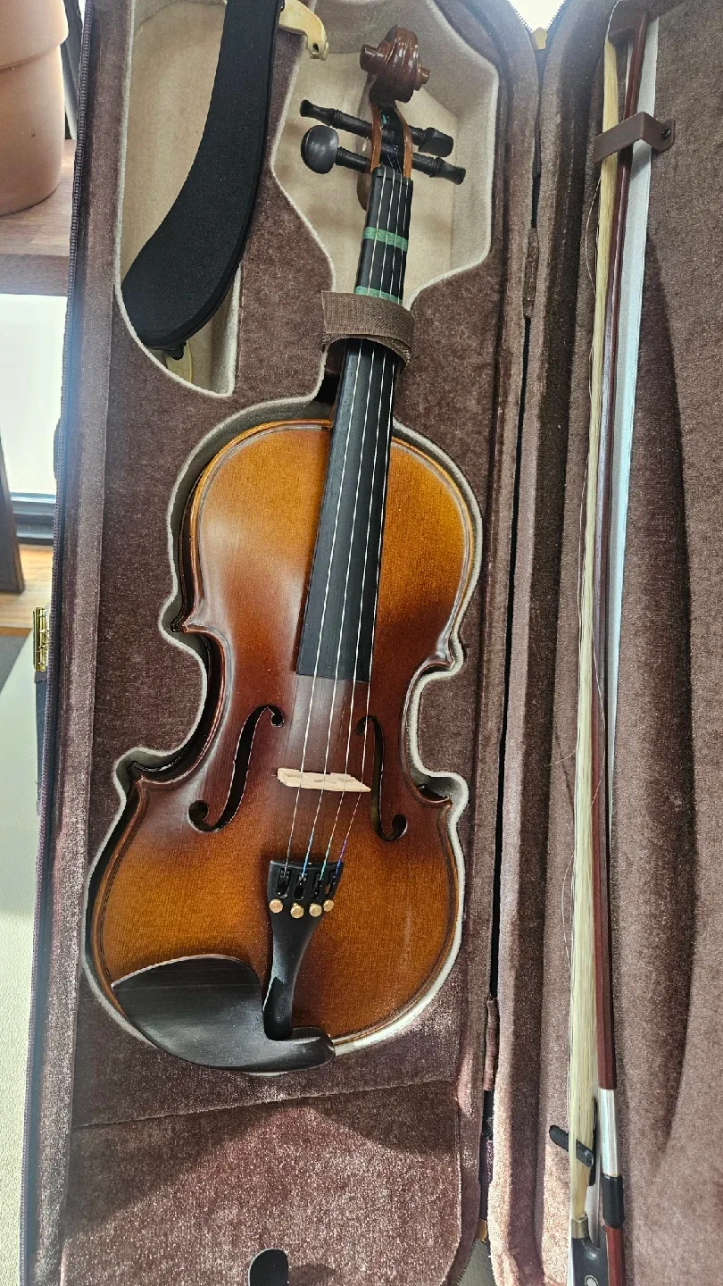 중고 바이올린 활, 케이스 포함