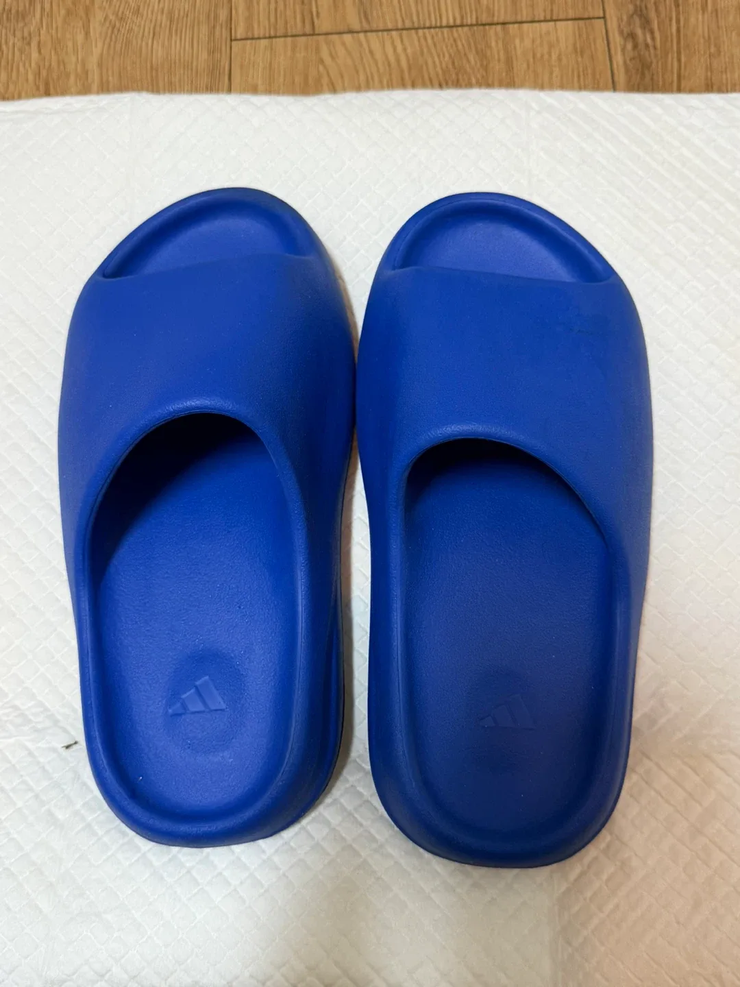 오늘까지 / 아디다스 이지슬라이드 아주르💙