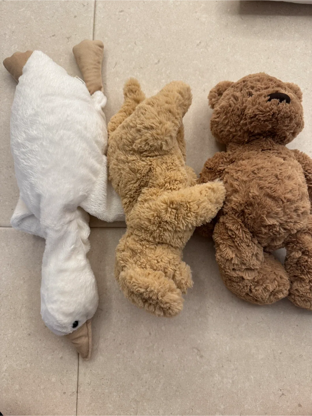 블랑가또, 모던하우스키즈, 젤리캣 인형 일괄