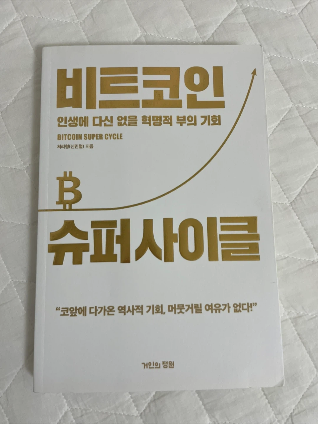 비트코인 슈퍼사이클 | 도서 | 당근 중고거래