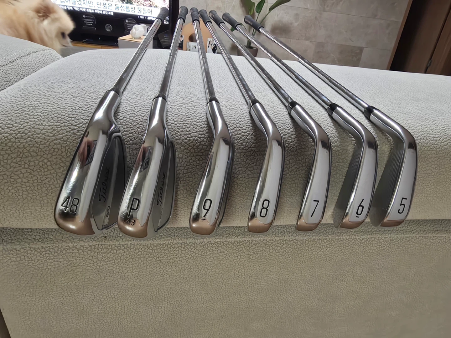 Titleist T200 (2023) ⁄ NS PRO 880 AMC S ⁄ 5-P + 48° (7