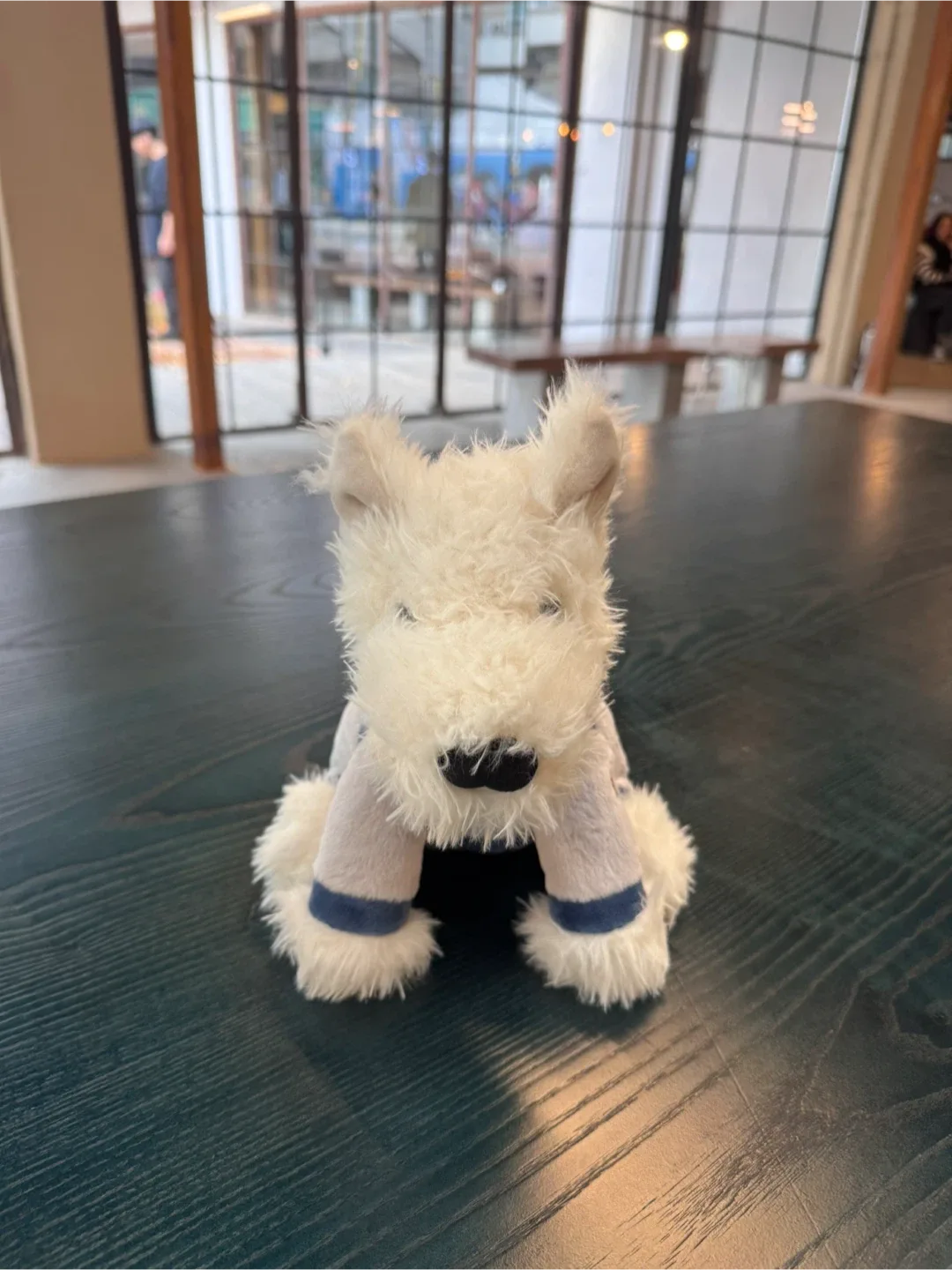 젤리캣 스페이스 강아지