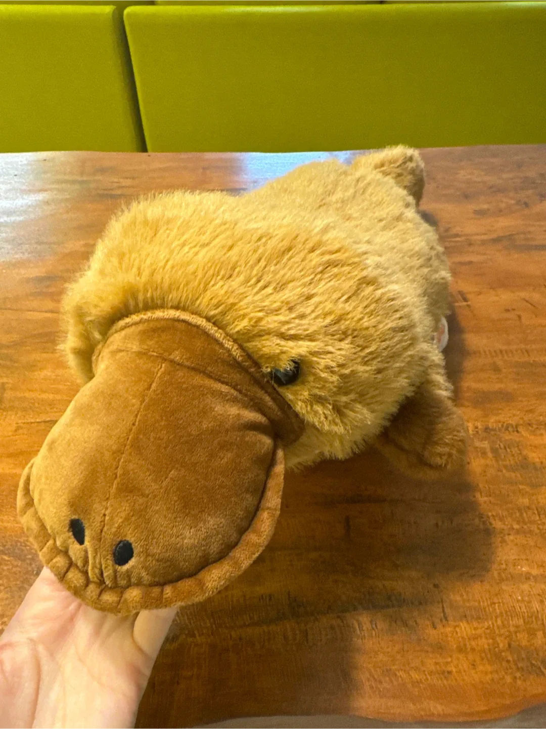 오리너구리 인형