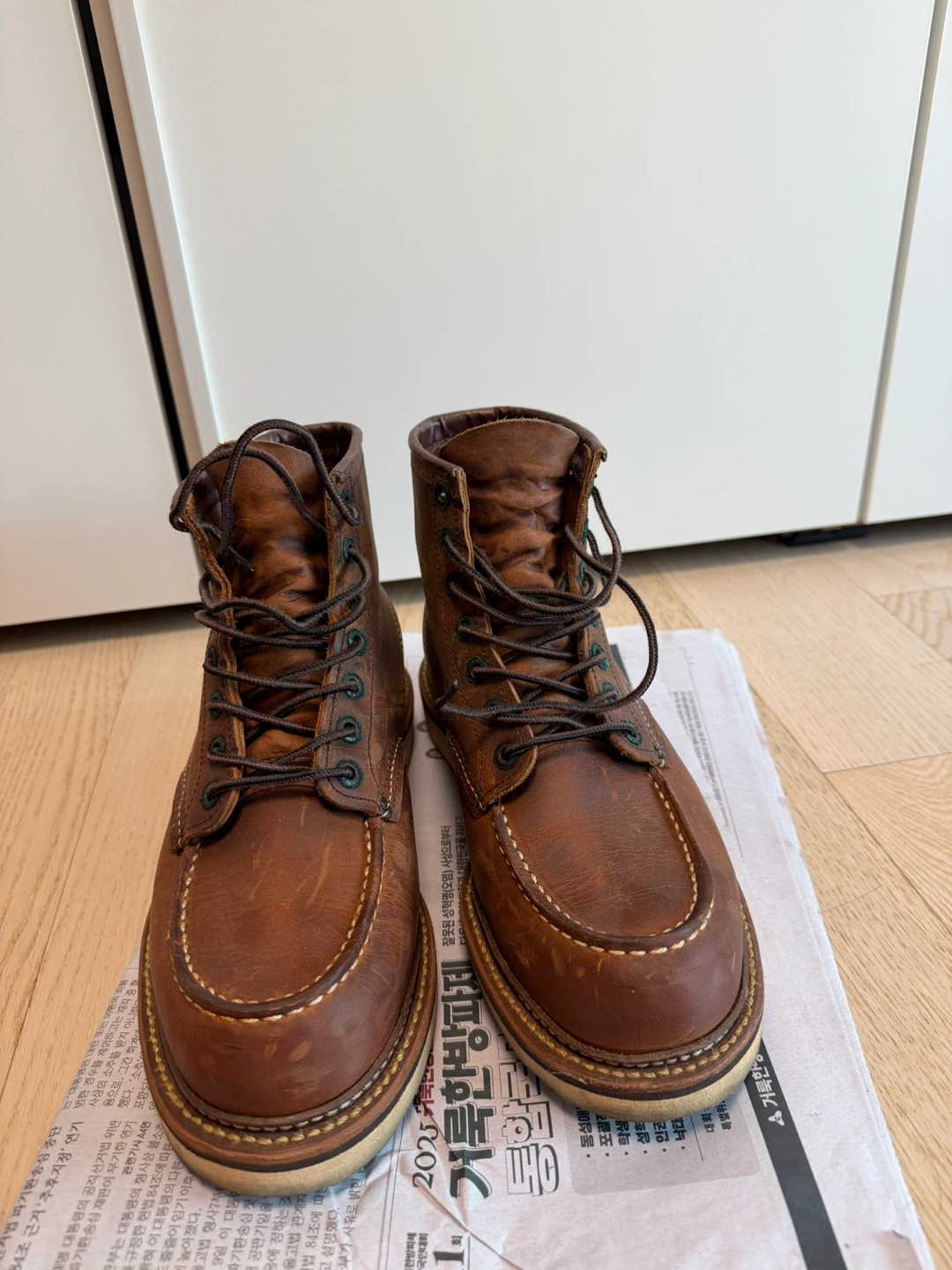 레드윙 1907 (USA 8) D ...레드윙코리아 구매제품