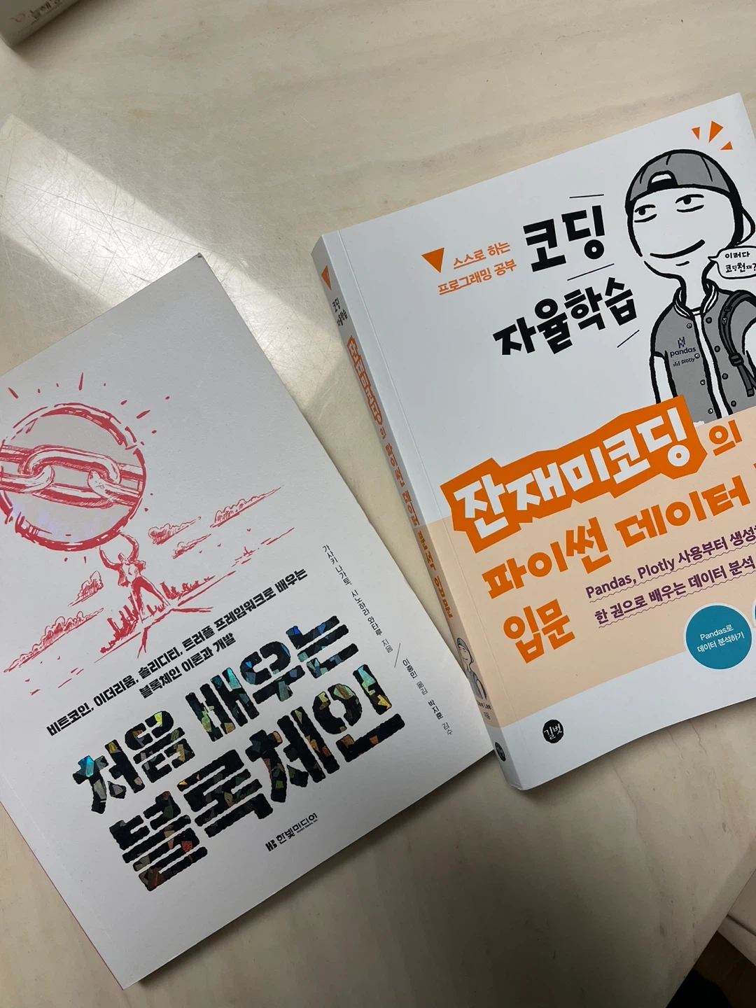 코딩 입문 블록체인, 파이썬 책 2권 | 도서 | 당근 중고거래