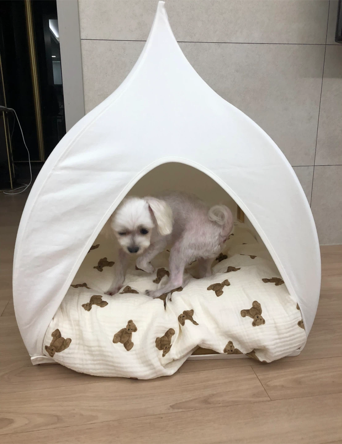 드롭하우스(강아지집), image size:1109x1440