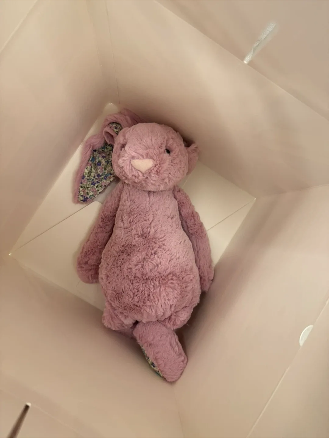 젤리캣 블라썸 버니 라지 튤립 핑크