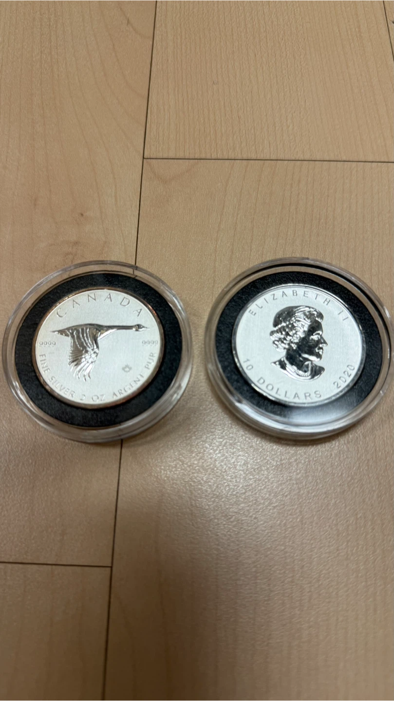 은화 - 2020년 캐나다 구스 2온스 실버 코인