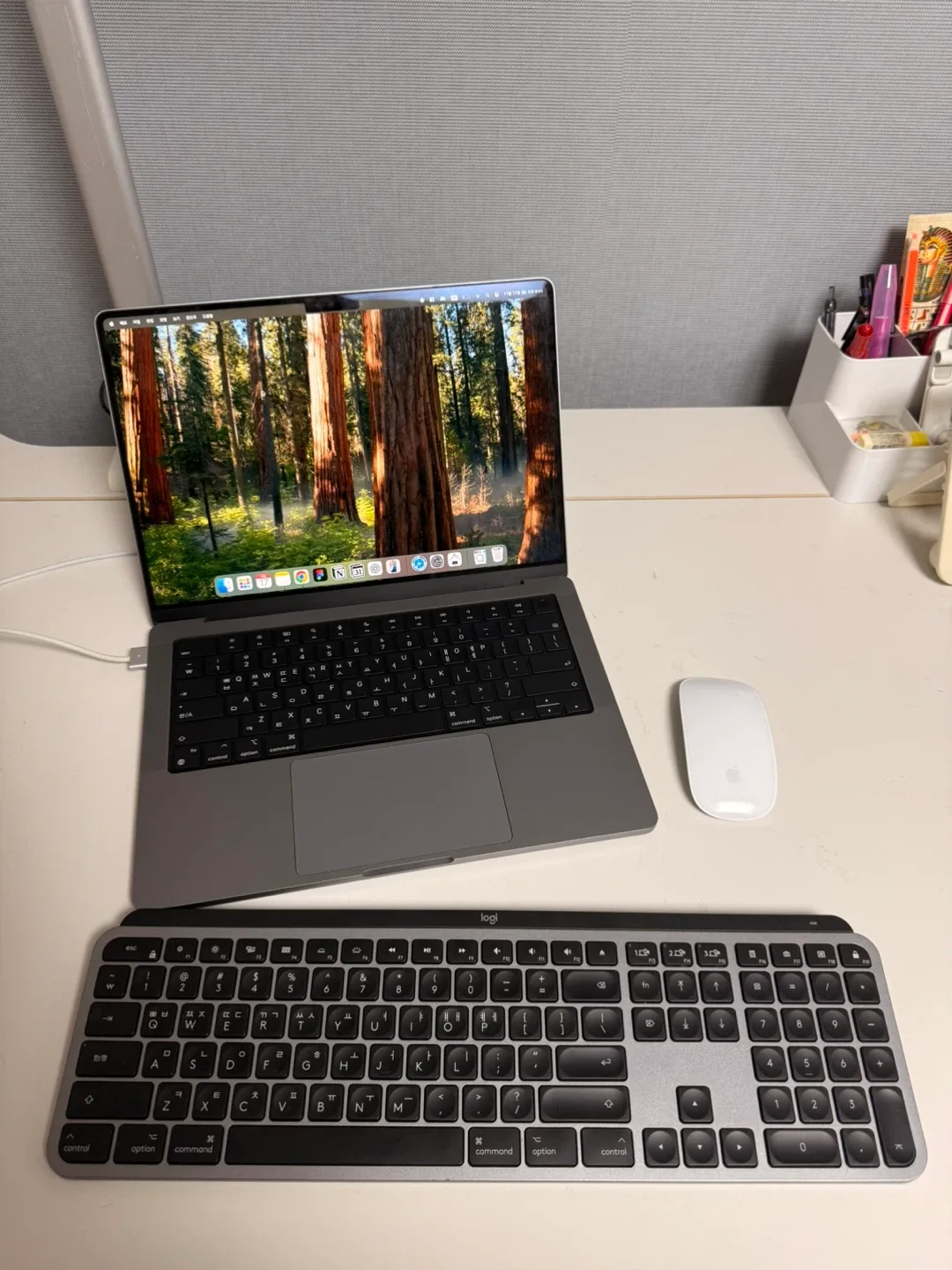 맥북프로 14 M1 16GB / 사이클 42회 최상급 / 로지텍 MX Keys + 매직마우스 일괄