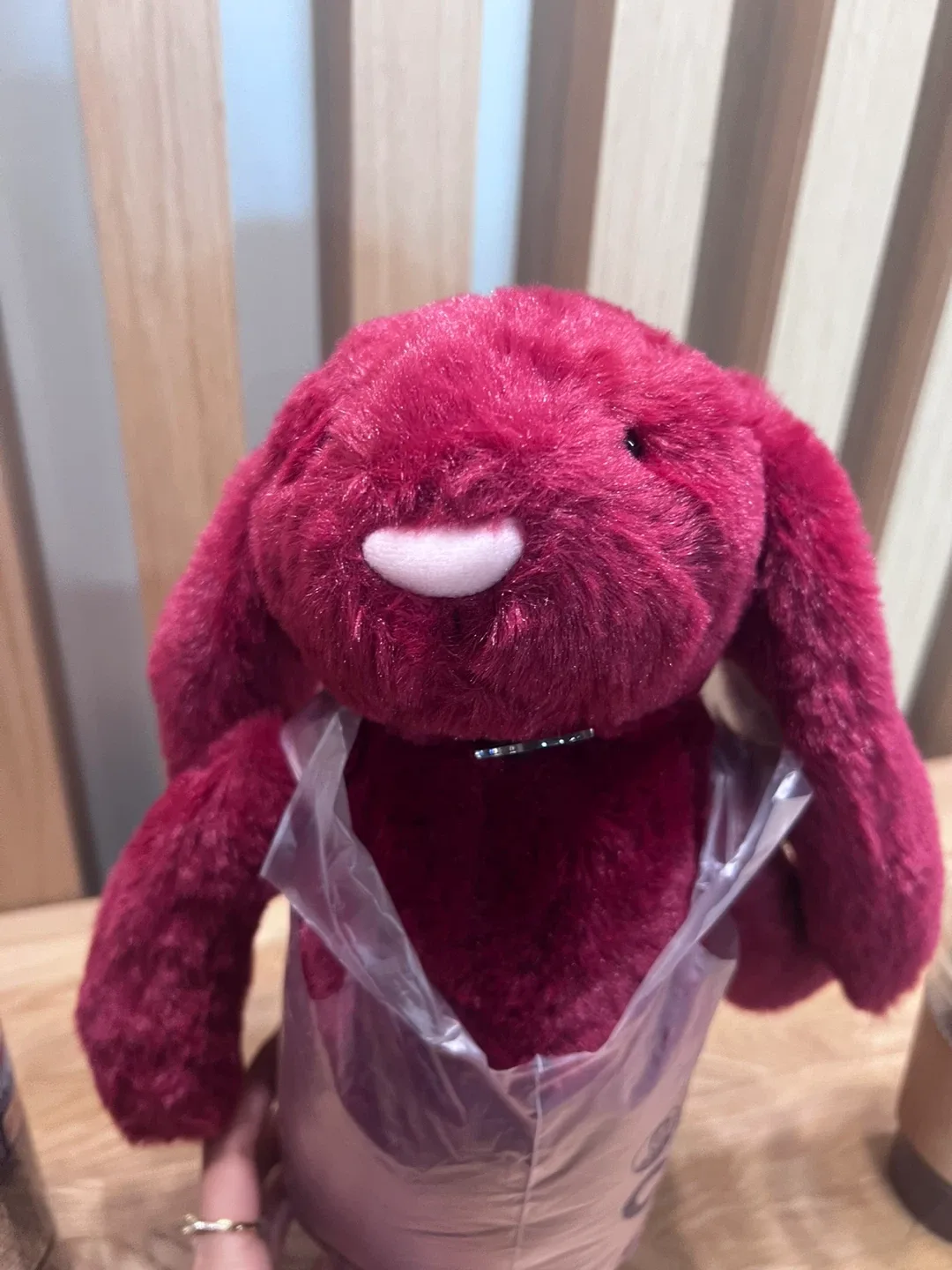 젤리캣 버니 인형 버건디 새상품