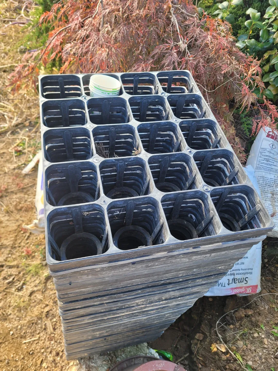 나무 (묘목/삼목) 포트 트래이