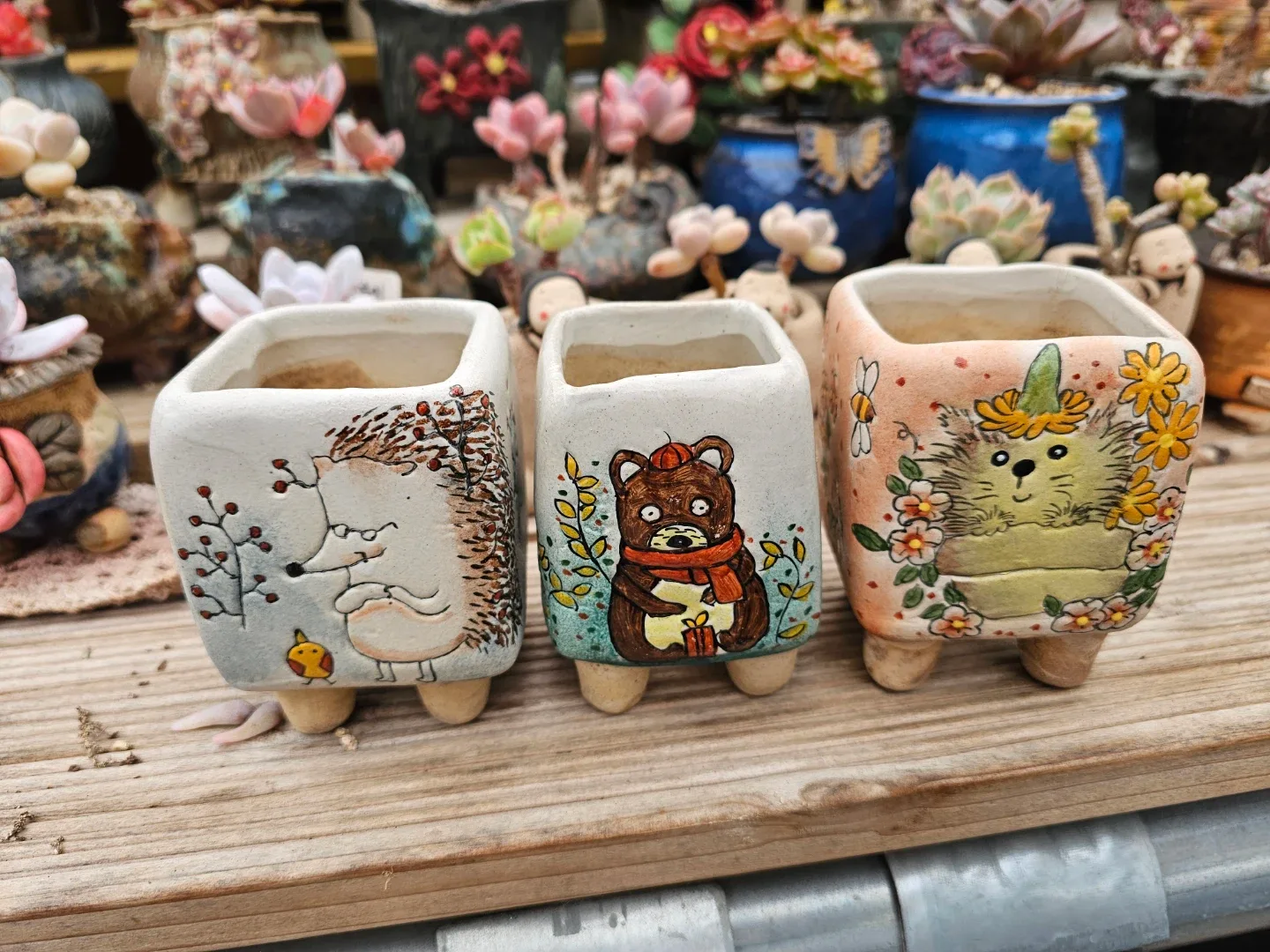 중고 다육이 화분 3개 세트