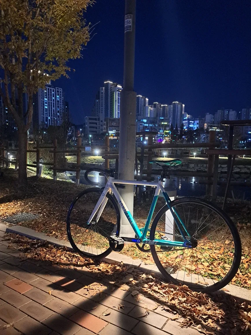밤트랙 스크립트 v2 픽시 자전거 팔아요. 대차 가능