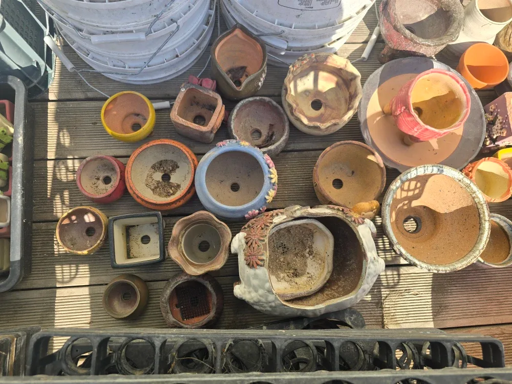 다양한 디자인 중고 화분 모음