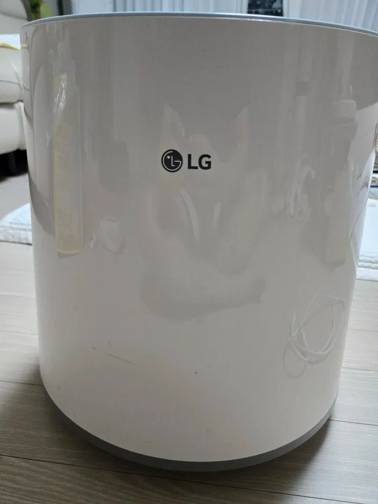 LG 퓨리케어 가습기