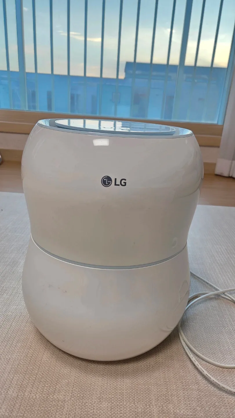 LG 퓨리케어 가습기 HW300BBN