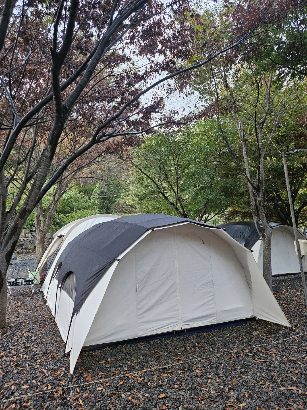 캠핑칸 오크돔L 텐트 신형베스티블 쉘타프