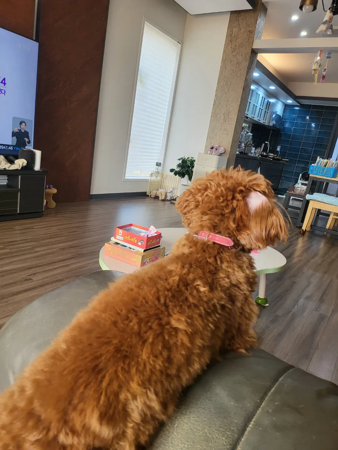 버즈3 fe 새제품 롯데나 신세계상품권 으로 구해봅니다~~