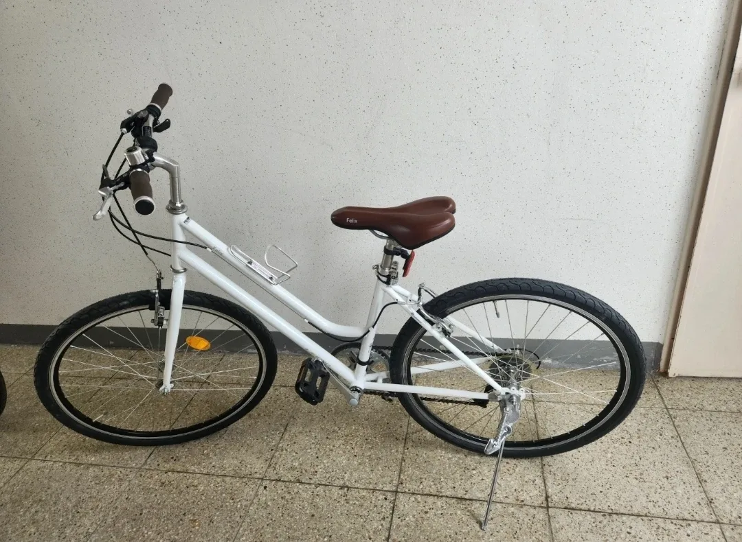 펠릭스 하이브리드 자전거 26인치