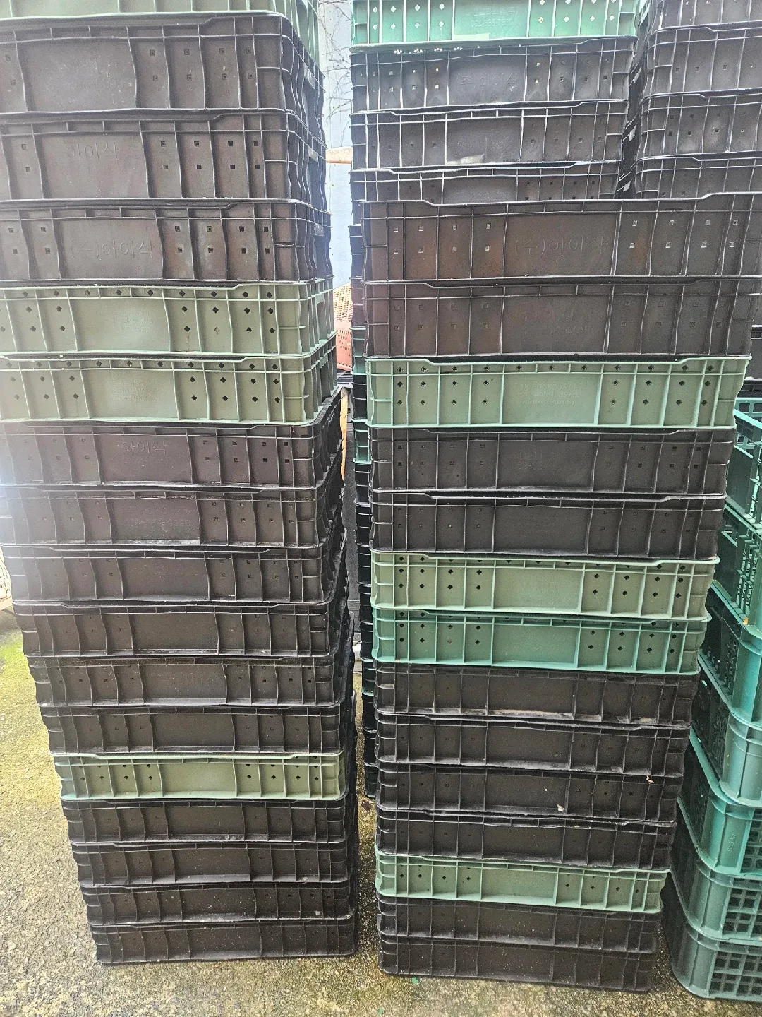 중고 플라스틱 상자